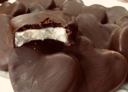 Dark Chocolate Coconut Dessert Bites
